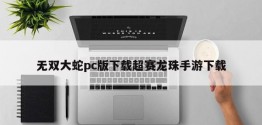 无双大蛇pc版下载超赛龙珠手游下载