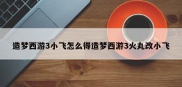 造梦西游3小飞怎么得造梦西游3火丸改小飞