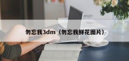 勿忘我3dm（勿忘我鲜花图片）