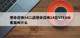 使命召唤14二战使命召唤14在STEAM里面叫什么